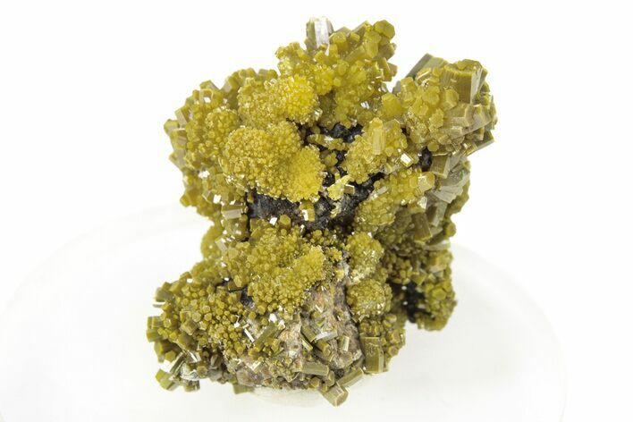 Lustrous Forest-Green Pyromorphite Crystal Cluster - China #260973